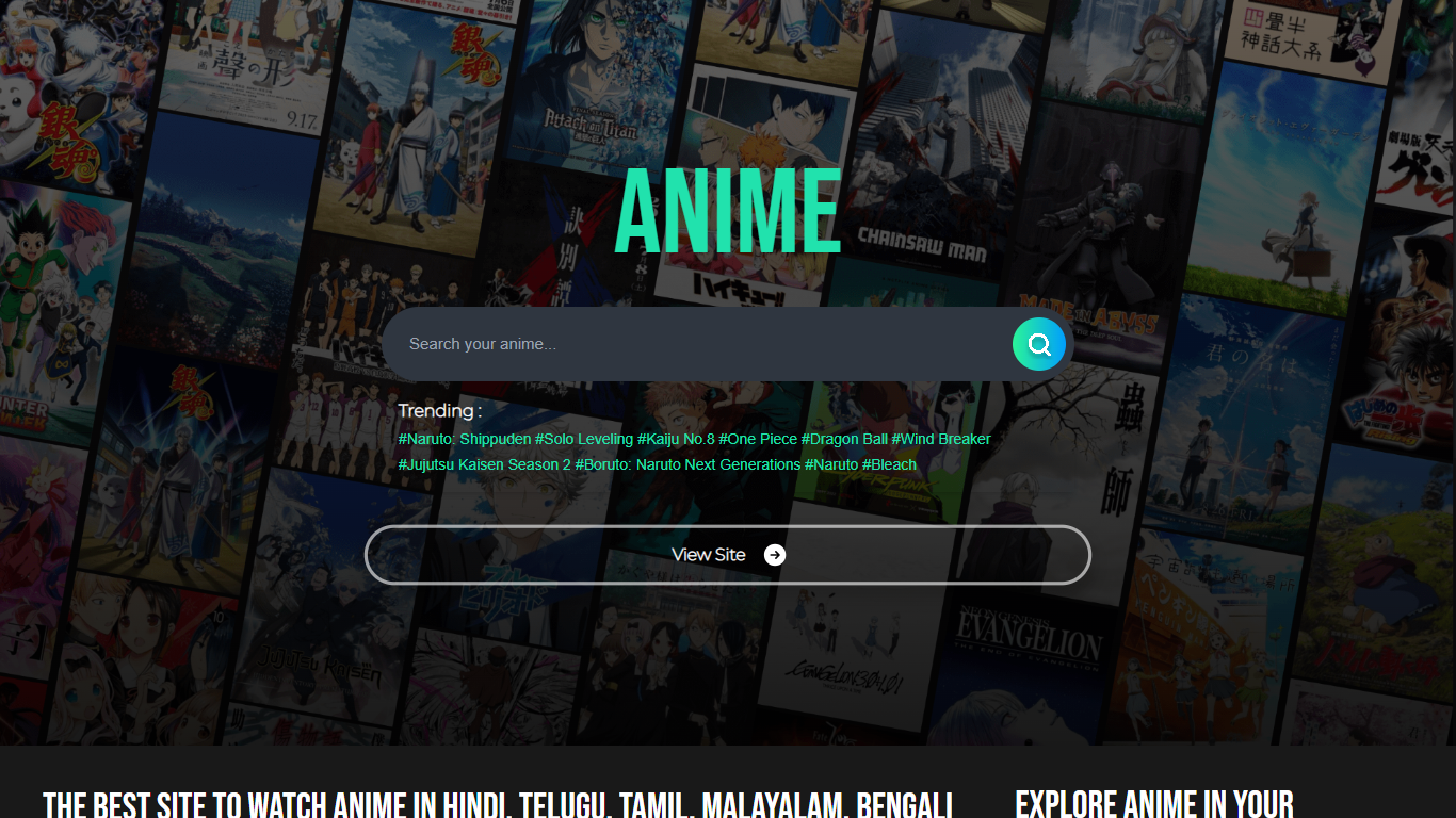 Anime Website